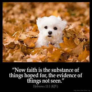 Abraham, Paul & God. A look at faith. A process, not an instant happening.