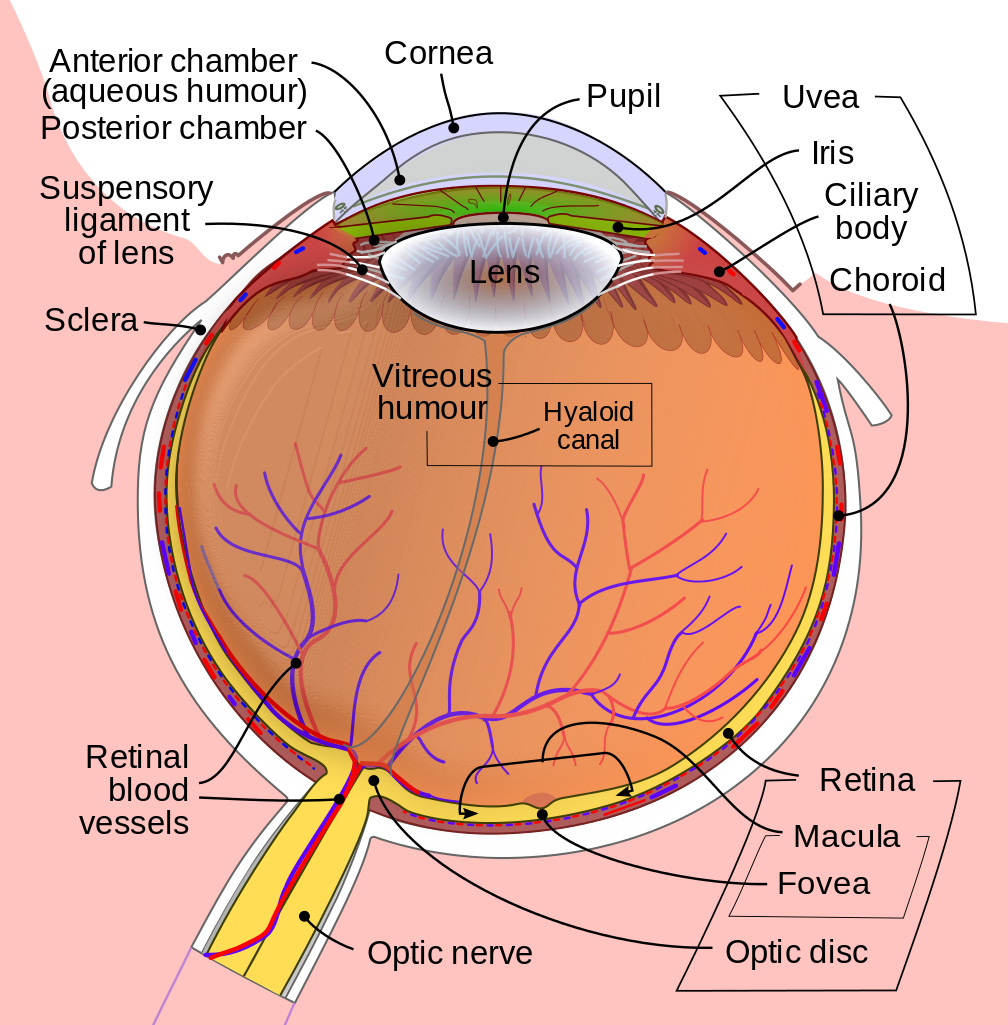 Human eye God Versus Religion human-eye-god-versus-religion