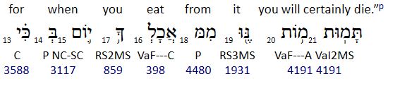 God tells Adam if he eats from the tree of the knowledge of good and evil he will "die die".