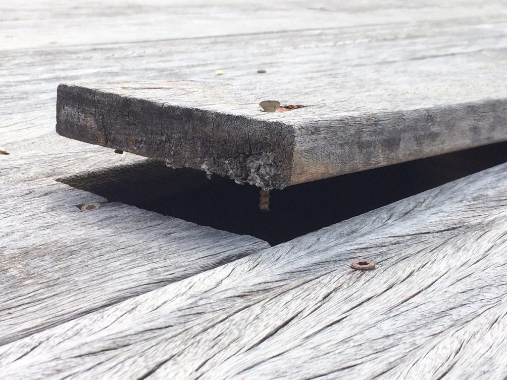 See the plank in your own eye