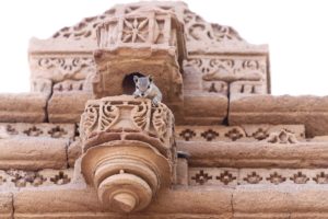 one-nation-under-god-but-which-god-1200-800 » God versus religion One Nation Under God. But Which God? he squirrel doesn't care!