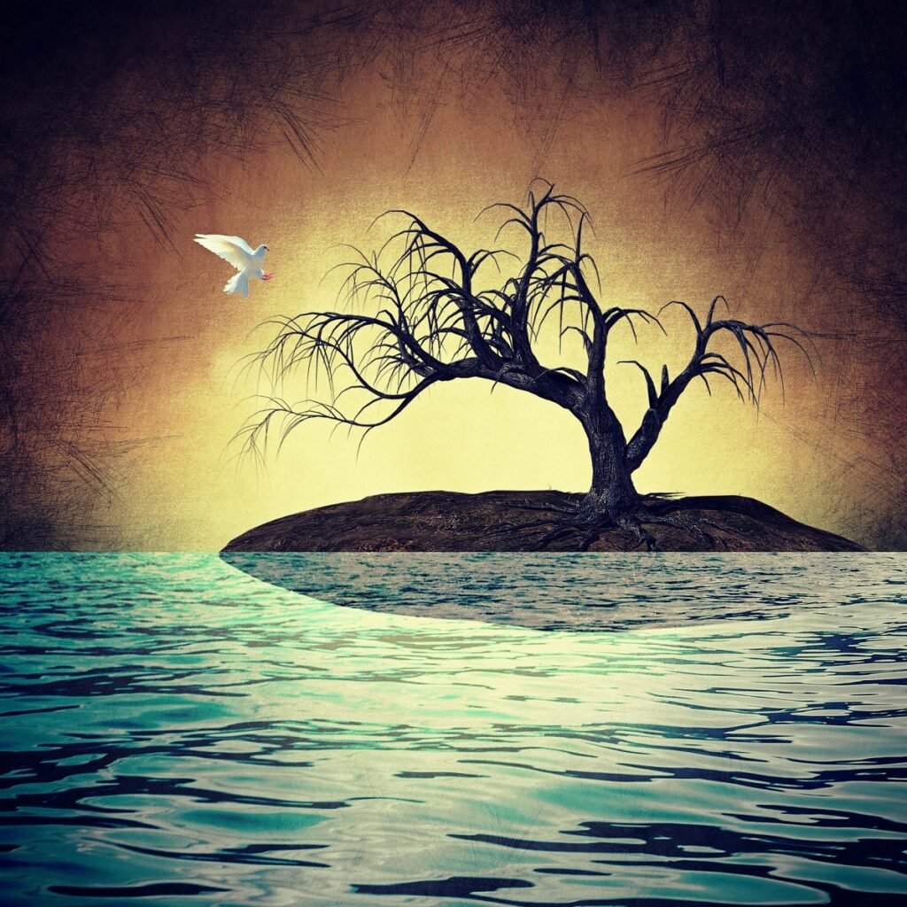 Take refuge and be glad