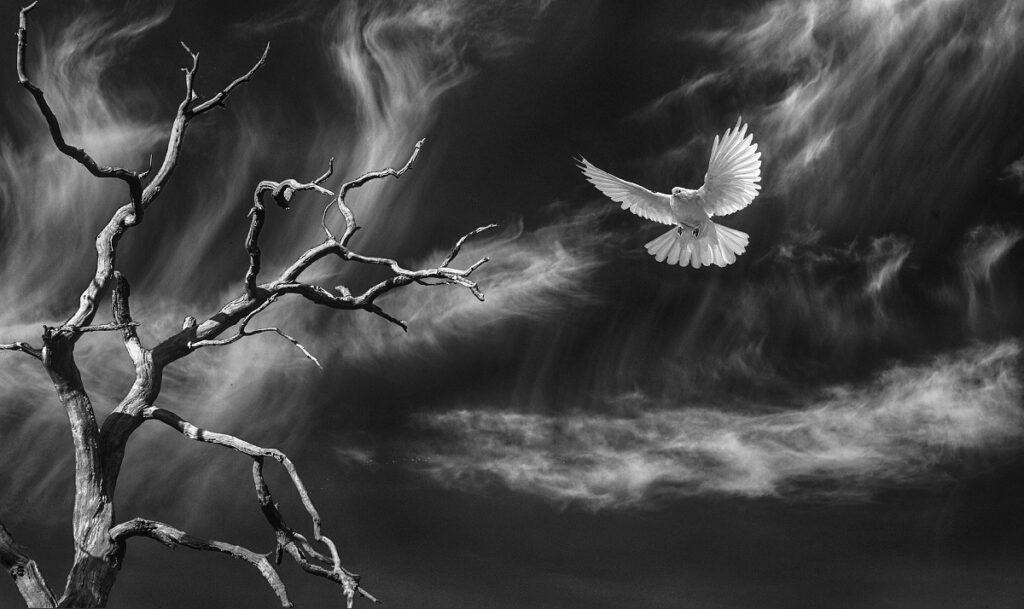 Fear no evil in the valley of the shadow of death